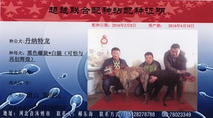 丹纳特龙X小黑 900111880086386.jpg