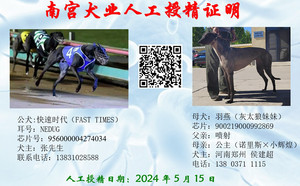 快速时代X羽燕 900219000992869.jpg
