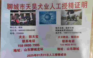 喷射X保罗天使 156111110090776.jpg