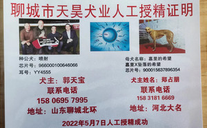 喷射X嘉里的希望 CY417，900015637896364.jpg