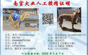 米奇杜X黄金蛋白石 941000225081737，T802Y.jpg