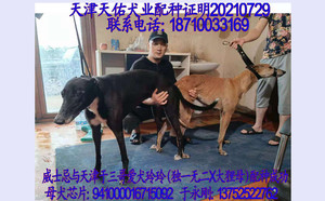 威士忌雪碧X玲玲 941000016715092.jpg