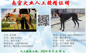 尼克斯X东方红 900219000033571.jpg