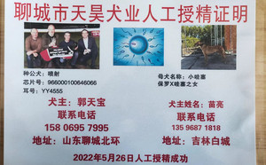 喷射X小哇塞 900022050091344.jpg