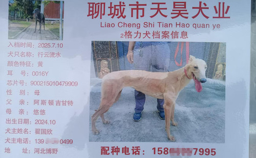 行云流水 900215010479909