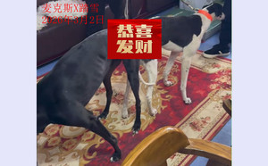 麦克斯X踏雪 900215007521728.jpg
