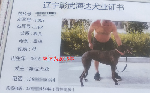 黑豹 900215000172525，HDQYLTHR