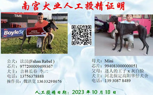 法汉XMini 994083000000051.jpg