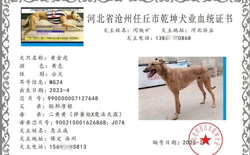 黄金虎 990000007127648