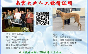 黑王X二哈 900255002655070.jpg
