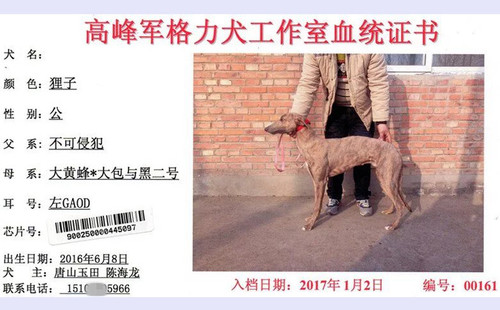 零九七 900250000445097，GAOD
