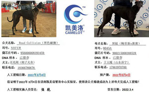 黑色碰撞X黑妞 900215000388528，0045A.jpg