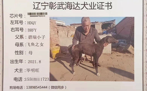 西西 990000007524314，HDQYBRFY