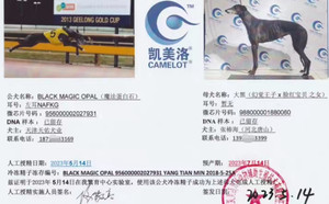 魔法蛋白石X大黑 156111110038488.jpg