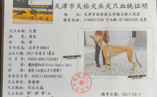火箭 DBHJ1，900018881702685