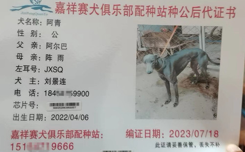 阿青 900252003068857，JXSQ