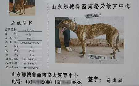 钻石巴特 900023069145927，BT06