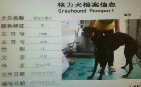 面包习惯仔 FBMB100B