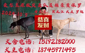 突击队员X黄保罗 941000225081146，BLDZ2.jpg