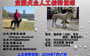 布莱克标准X满天星 900022092027300，CXDD1909.jpg