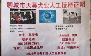 喷射X午夜玫瑰 900168801064826，WYLX79A.jpg