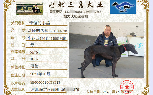 奇怪的小黑 990000010039317，101N