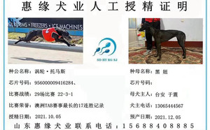 涡轮·托马斯X黑妞 900215005748895.jpg