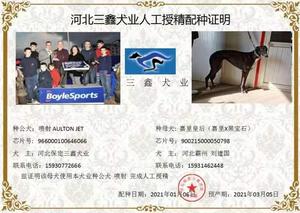 喷射X嘉里皇后 CY468，900215000050798.jpg