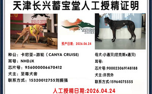卡尼亚游轮X小通灭900023069148188.jpg