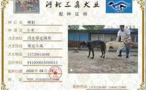 喷射X小米 HZXB 0078T，941000015046813.jpg