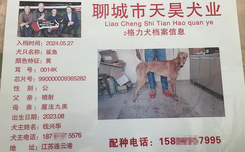 鲨鱼 990000009365282，0014K