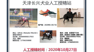 斗牛士X大瑞 TY349，900250000274561.jpg
