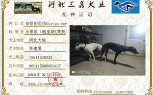 奇怪的男孩X小黑眼 NGXH 917A，900115000889437.jpg
