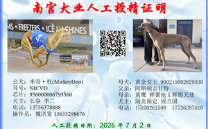 米奇杜X保定周兰国的黄金女王900219002829030（2026年7月2日配）.jpg