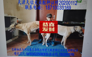 吉格帕夫X公主 941000225080619.jpg