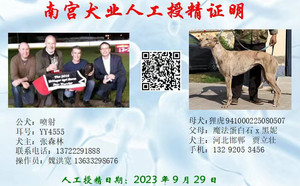 喷射X狸虎 941000225080507.jpg