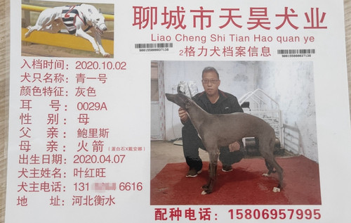 青一号 900155000037138，0029A
