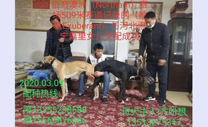 挖机X嘉里的希望 CY417，900015637896364.jpg