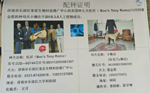 托尼X小琳达 941000015046939.jpg