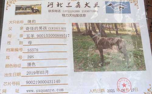 捷豹 900219000431140，S557839N
