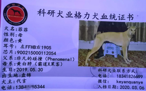菲菲 900215000112054，FFHB1905