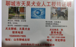 阿斯顿吉甘特X吉格曼达 900023069708615，T538Y.jpg