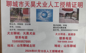 阿斯顿吉甘特X闪电 TY341，900250000274532.jpg