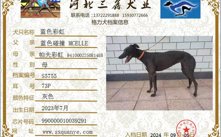 蓝色彩虹 990000010039291