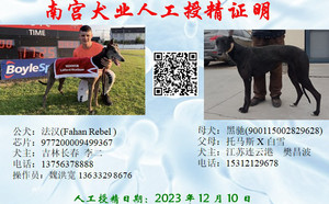 法汉X连云港樊昌波的黑驰900115002829628（2023年12月10日配）.jpg