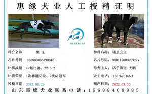 黑王X诺里公主 900115000929277.jpg