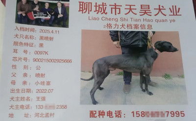 黑喷射 900215002925666，0097K