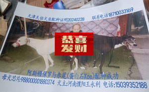 阿斯顿保罗X赤尾 900219000431178，988000001880374.jpg