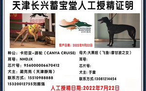 黑妞 900215005748895.jpg