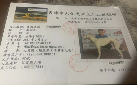 蛋白美丽 941000225081131，DBSL1